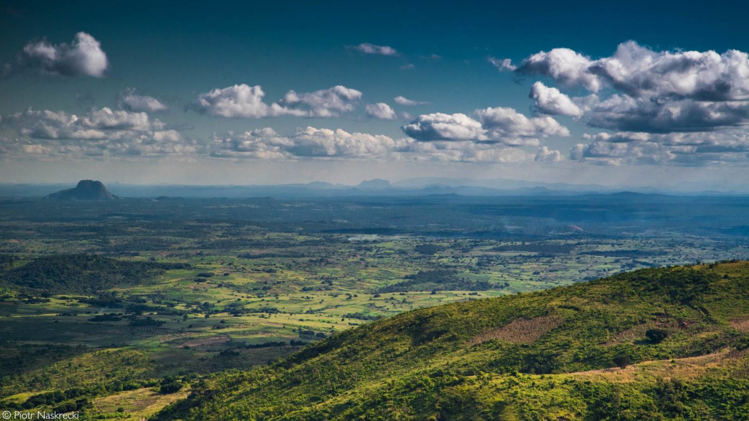 The restoration of Gorongosa National Park - Africa Geographic