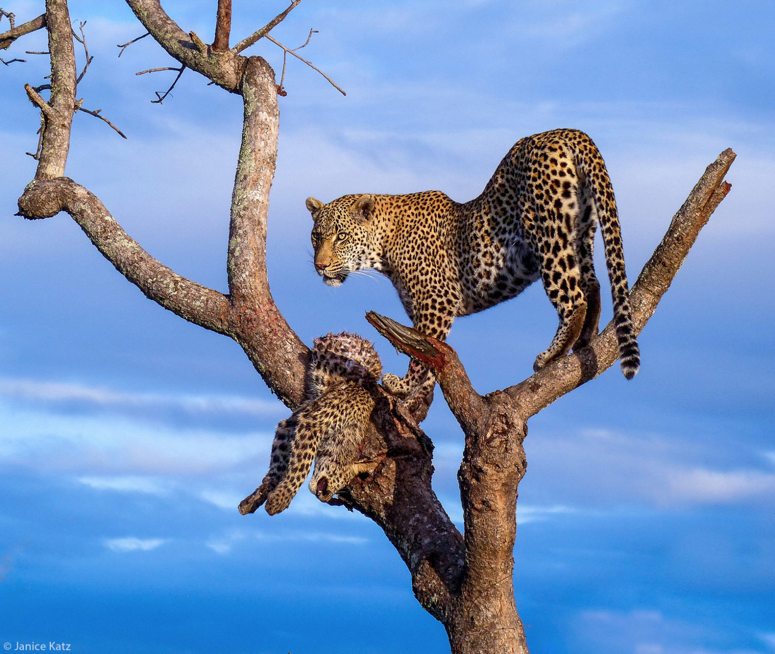 Photographer of the Year 2021 Weekly Selection: Week 12 - Africa Geographic