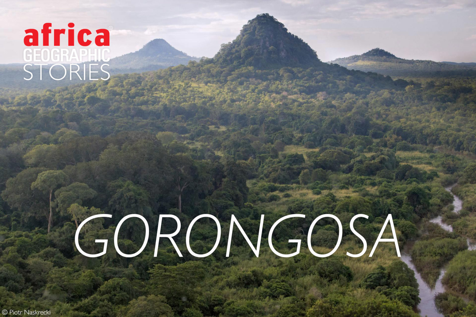 The Restoration Of Gorongosa National Park Africa Geographic