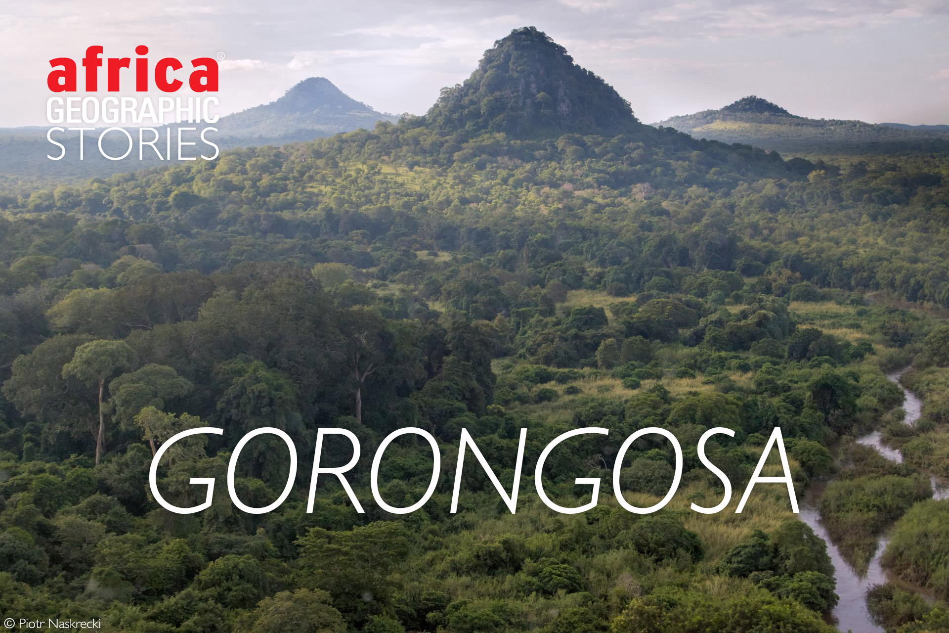 The restoration of Gorongosa National Park - Africa Geographic