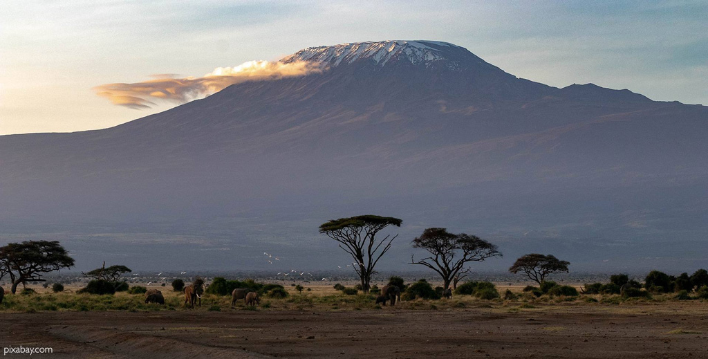 Kilimanjaro