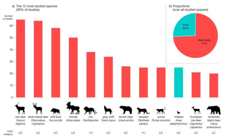 Recreational hunting: 50 years of scientific research - Africa Geographic