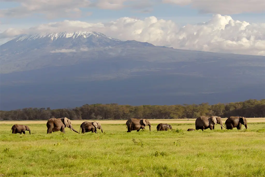 Amboseli National Park