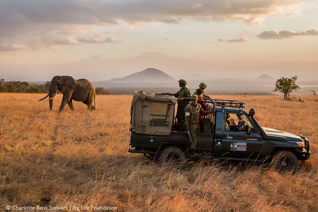 Big Life Foundation rangers