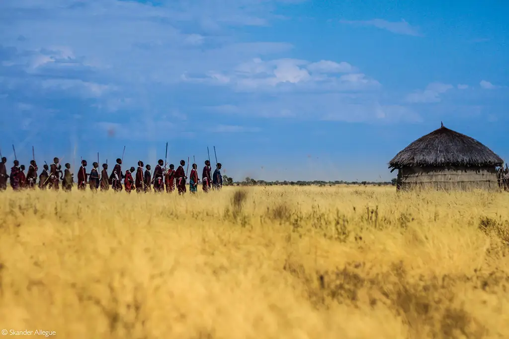Maasai warrior celebration