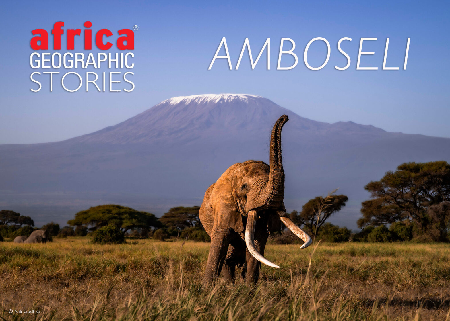 Amboseli National Park