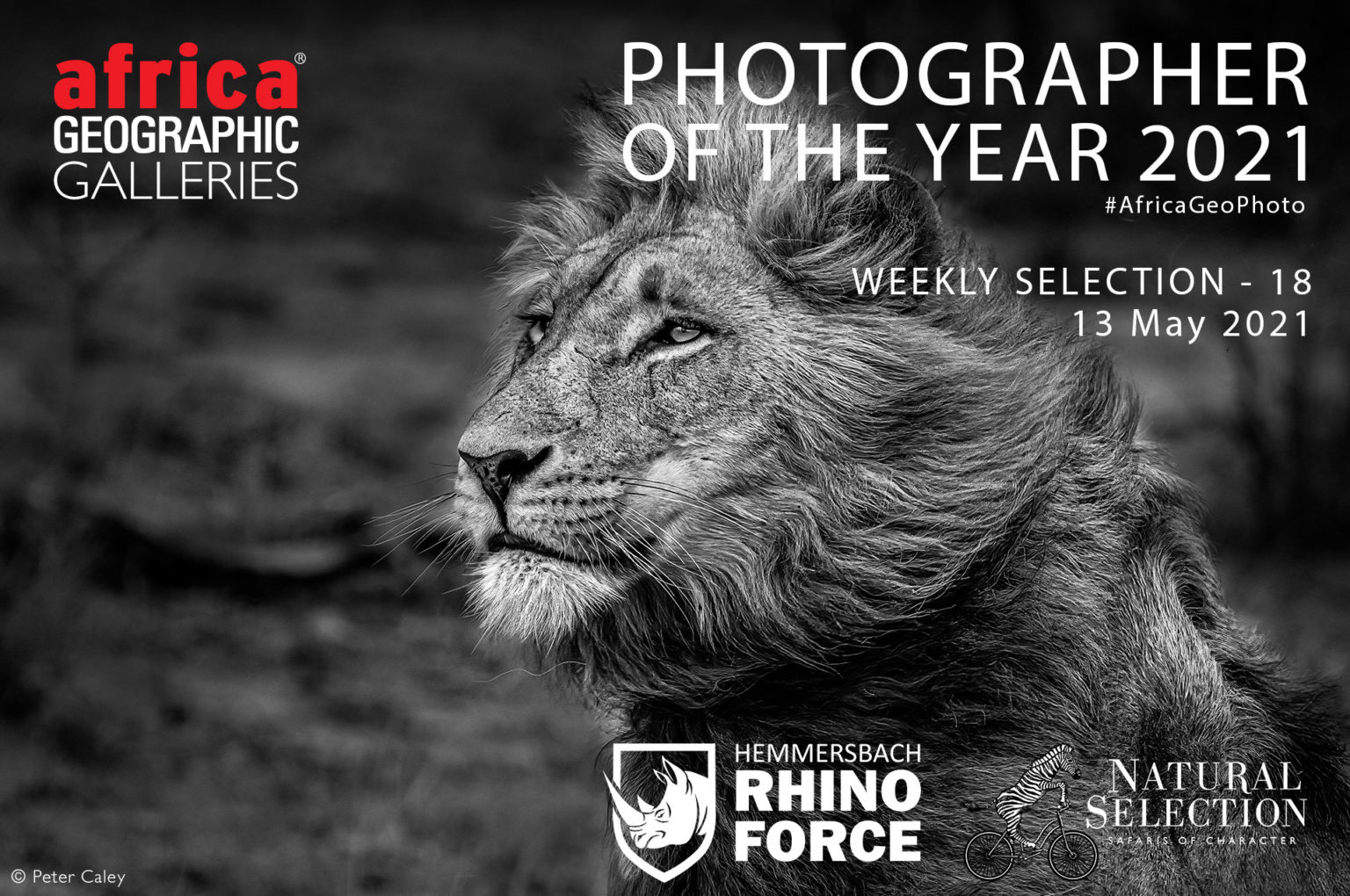 Photographer Of The Year 2021 Weekly Selection Week 18 Africa Geographic photographer-of-the-year-2021-weekly-selection-week-18-africa-geographic