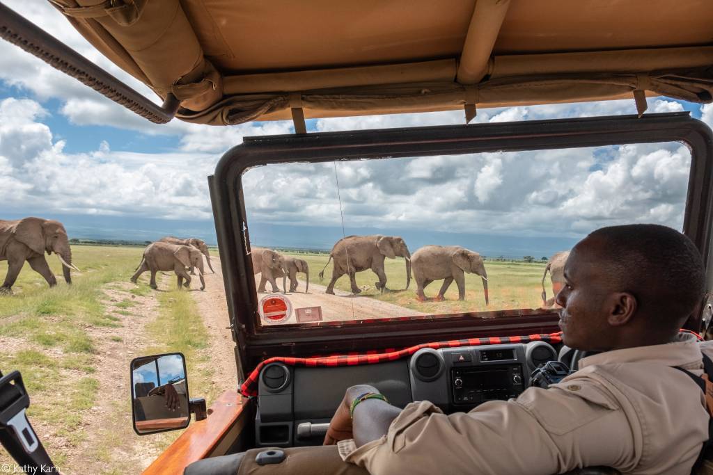 avocado farm in the Amboseli region