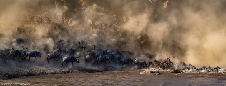 Photographer of the Year 2021 Weekly Selection: Finalists - Africa ...