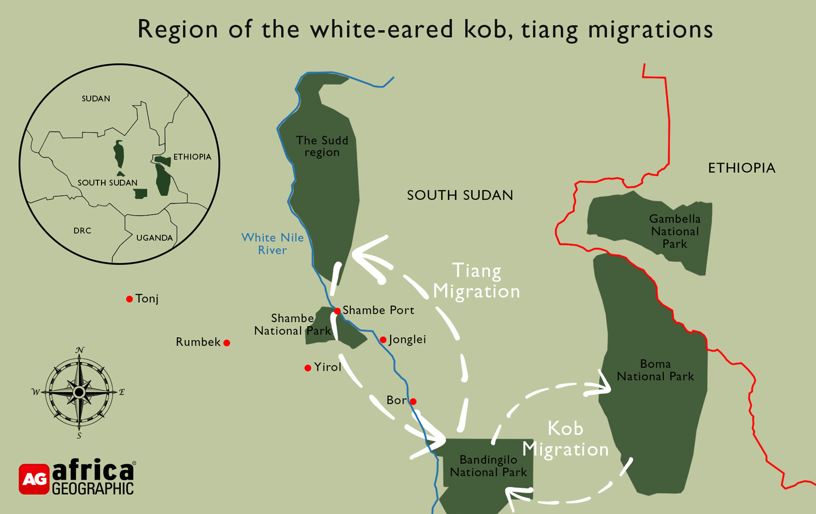 white-eared kob and tiang migration