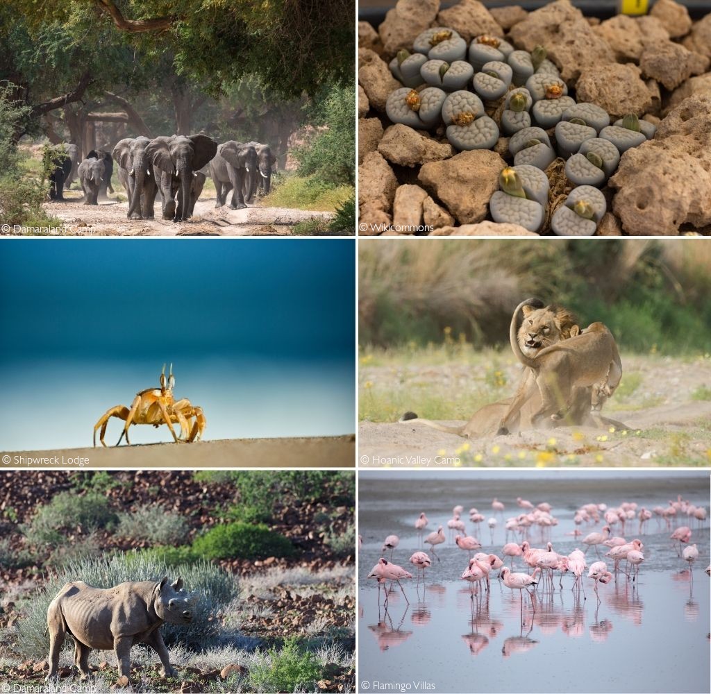 western namibia