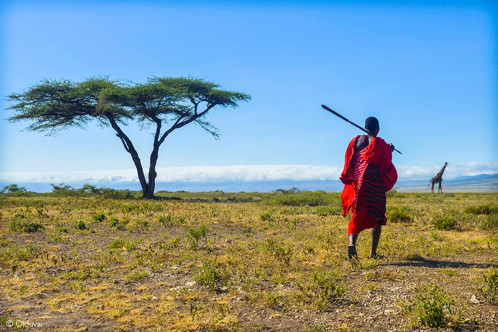 Ngorongoro Crater