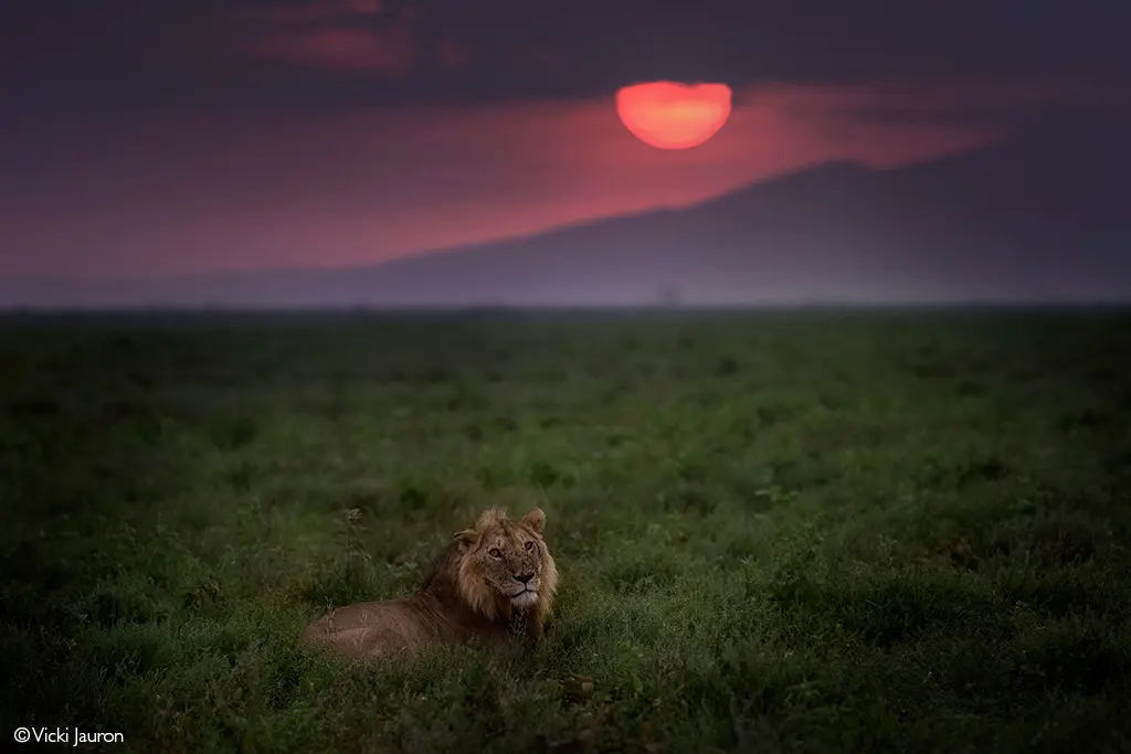 Ngorongoro Crater