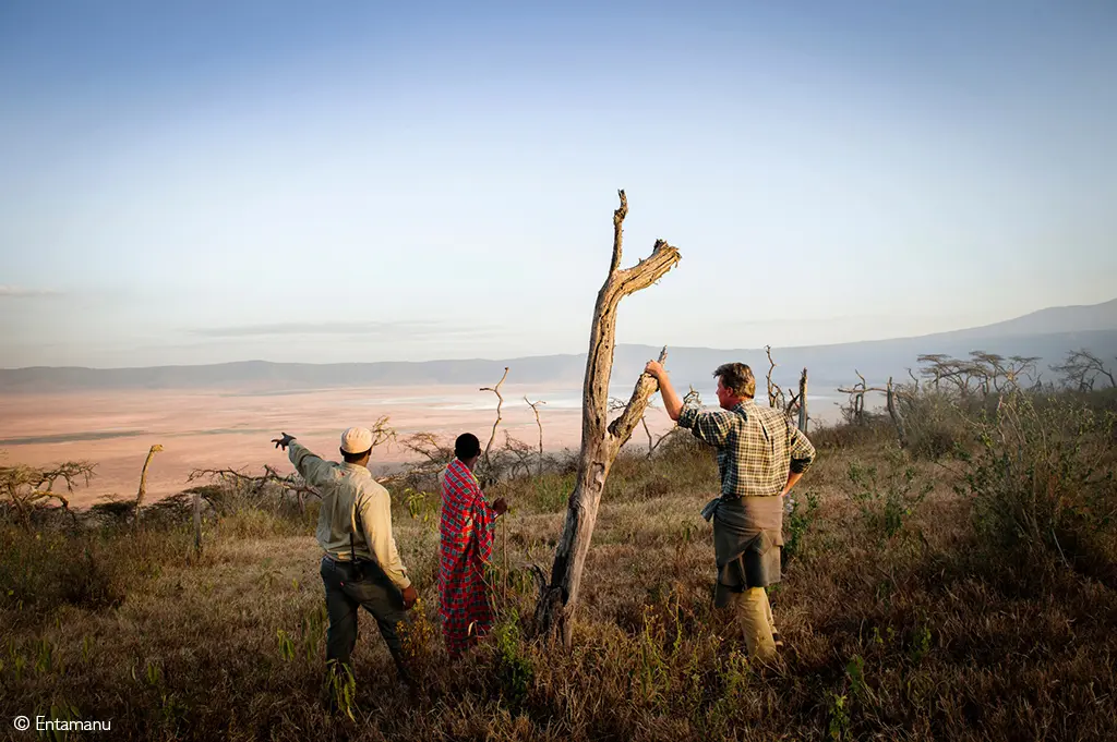 Ngorongoro Crater