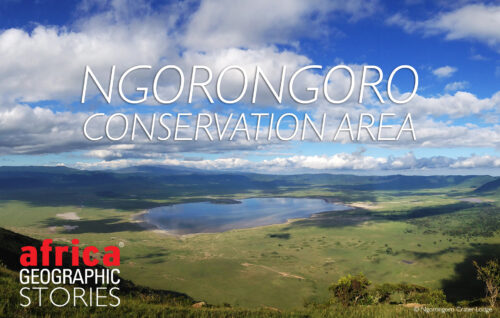 Ngorongoro