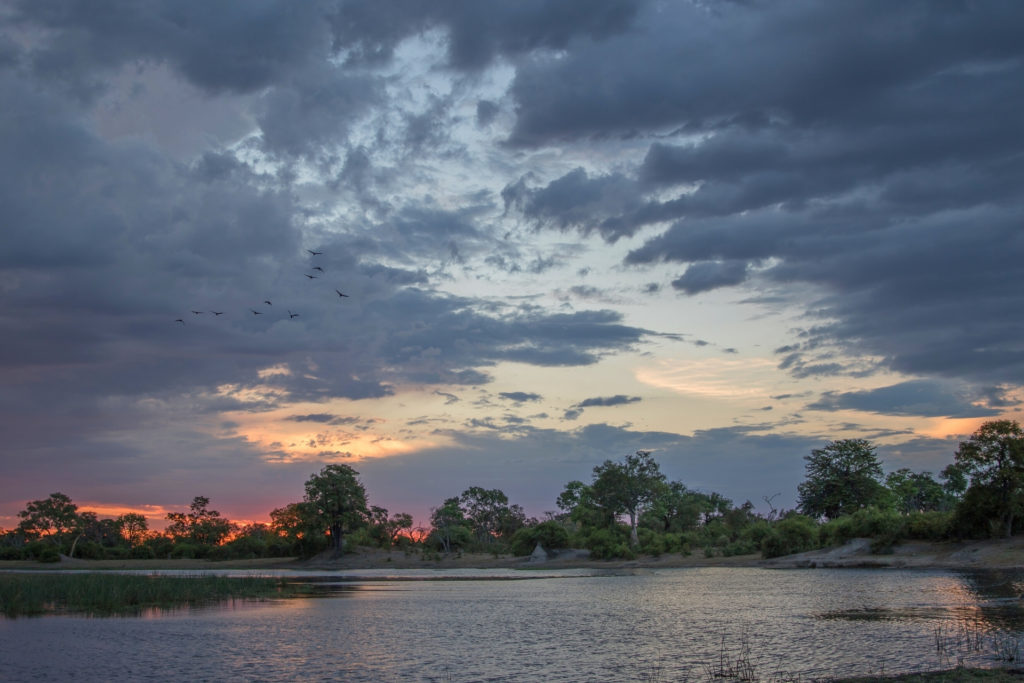 Chobe National Park - Africa's elephant Eden - Africa Geographic