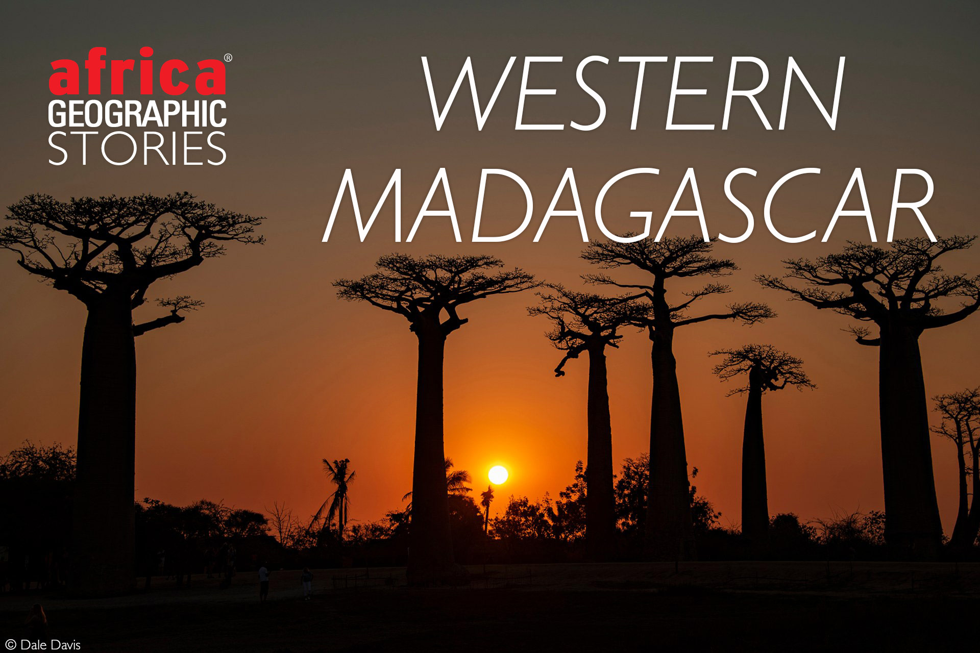 Where to See Lemurs, Chameleons, and Baobabs in Madagascar