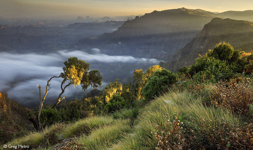 Simien Mountains