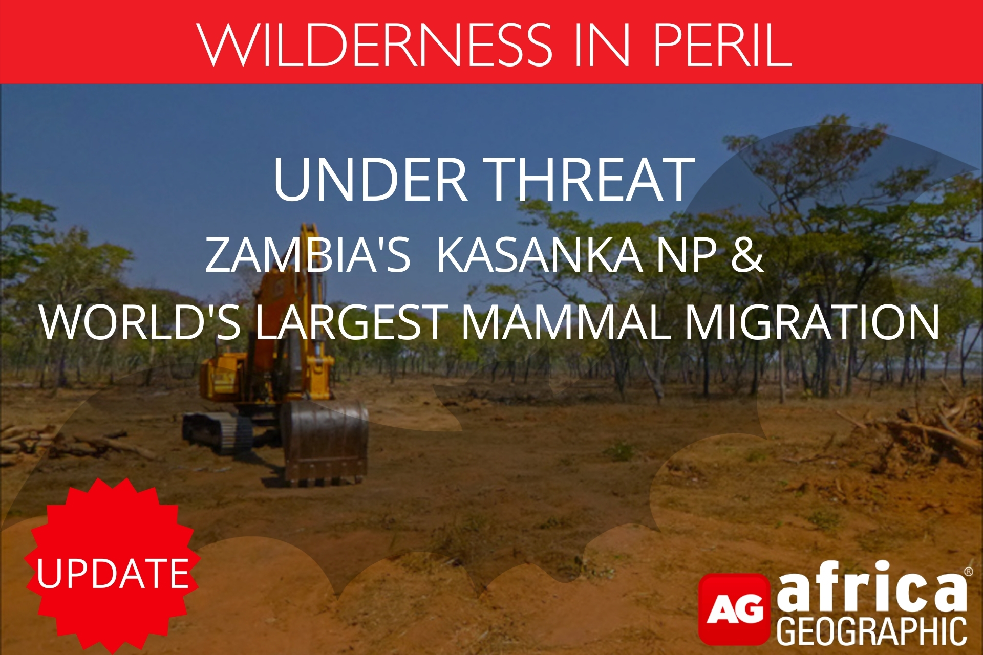 Update: Zambia’s Kasanka NP & World’s Largest Mammal Migration Under ...