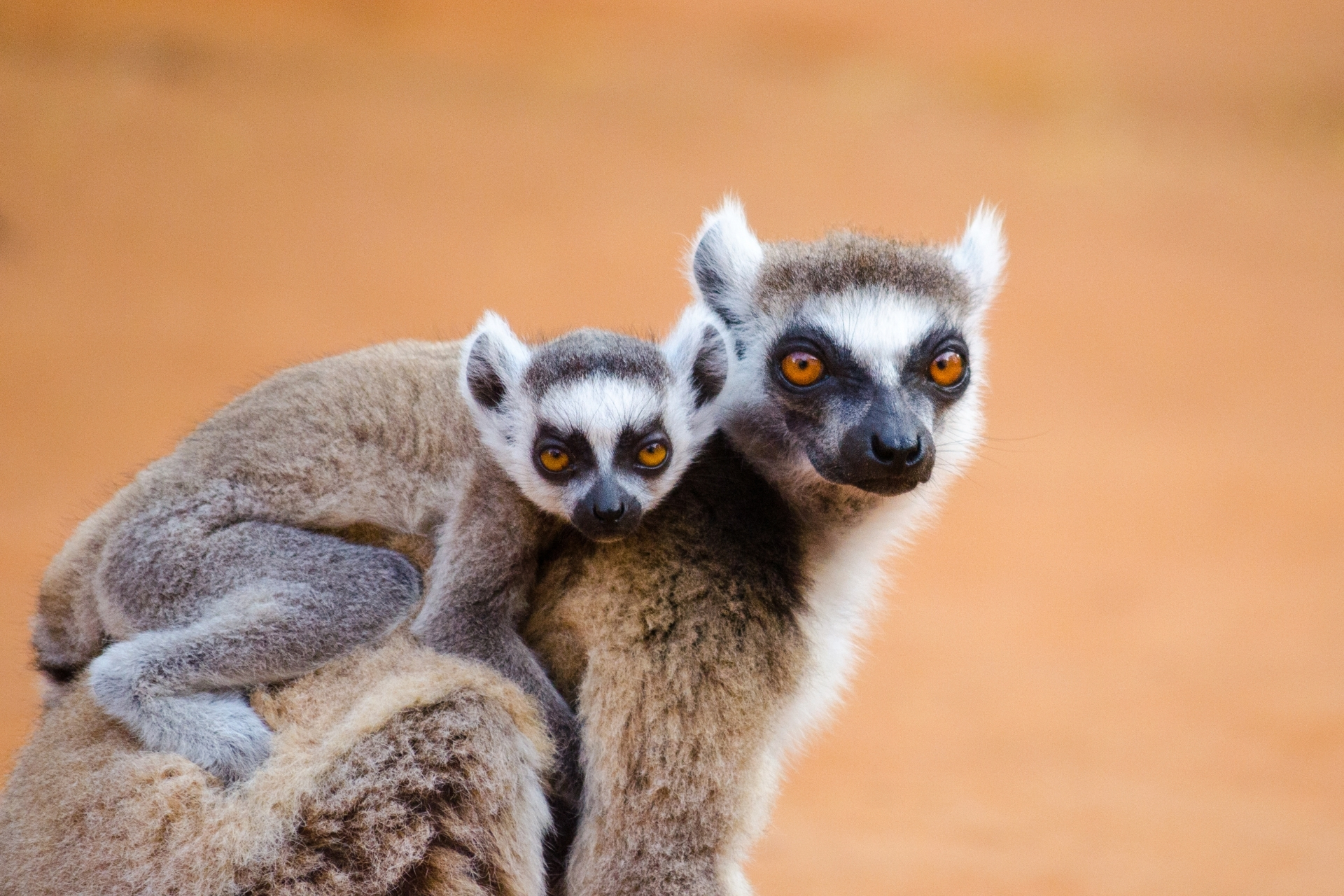 South and central Madagascar