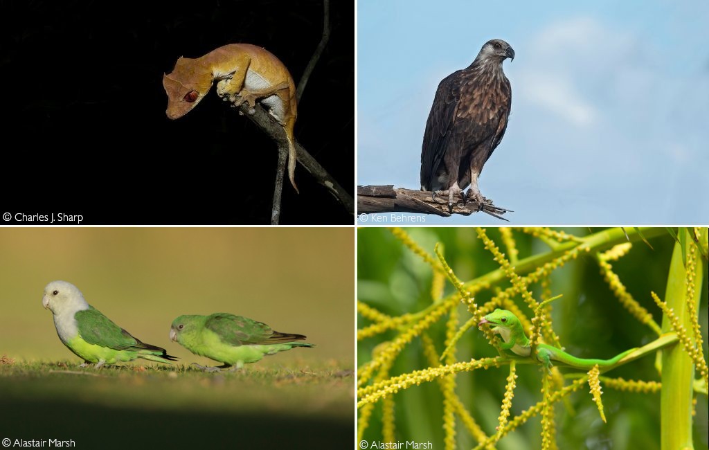 Northern Madagascar