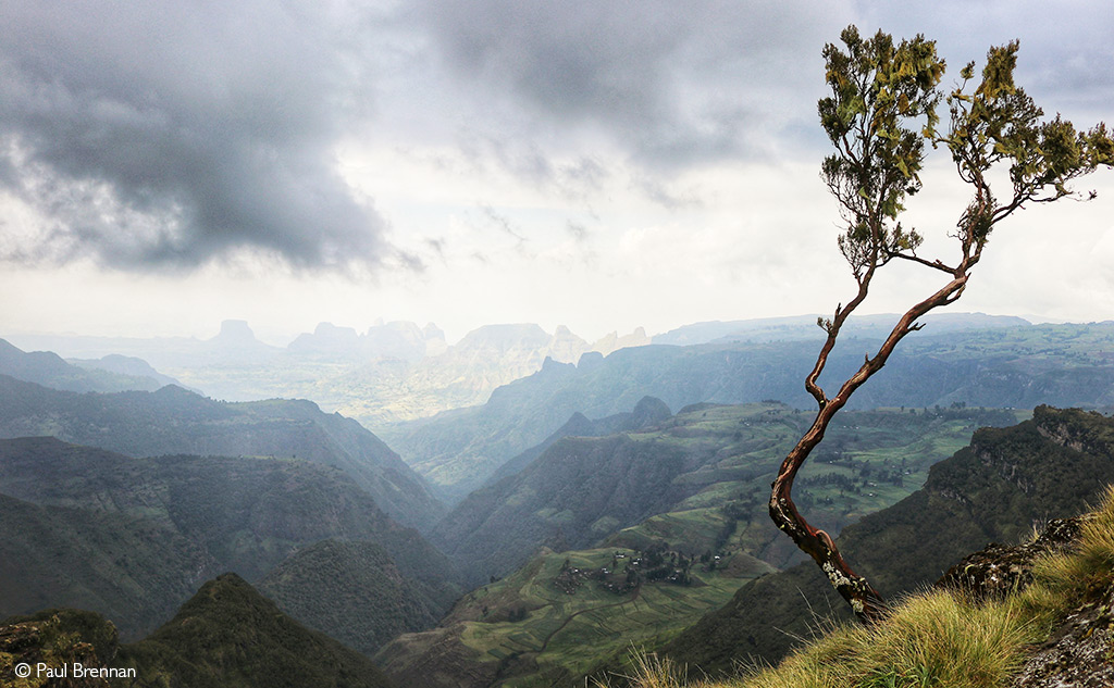 Simien Mountains