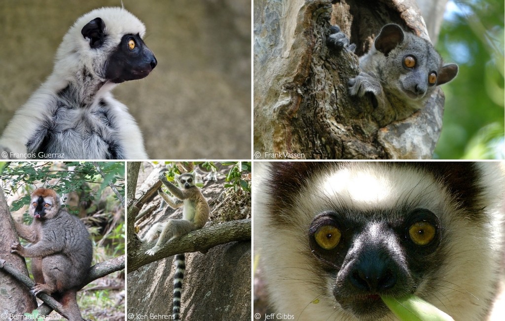 Western Madagascar