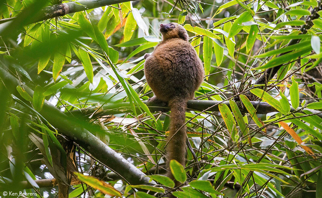 South and central Madagascar