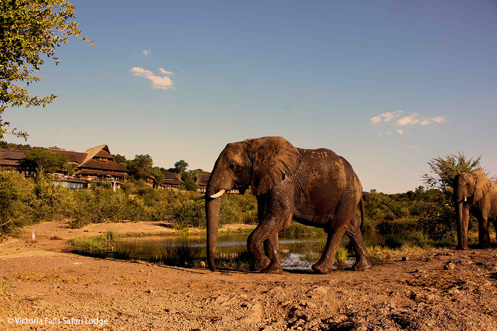Victoria Falls