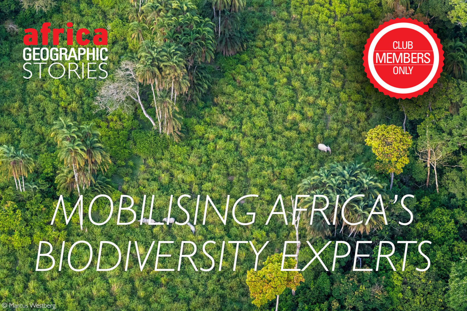 Mobilising Africa’s biodiversity experts to put nature on the decisionmaking map Africa