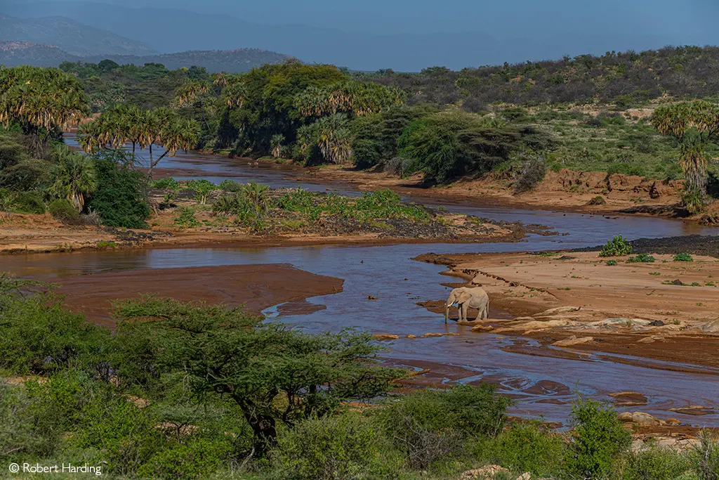 Samburu National Reserve safaris elephant