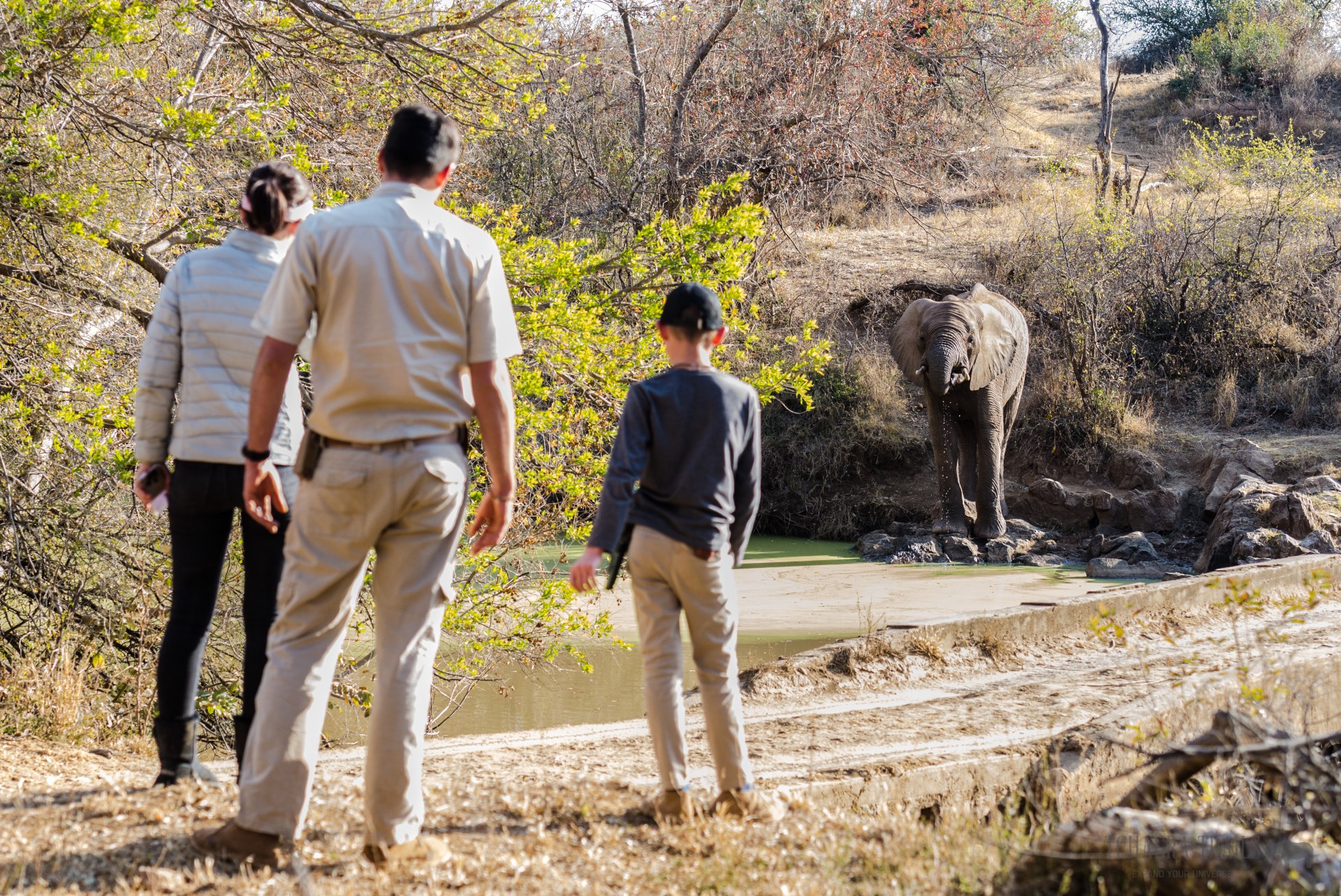 Madikwe