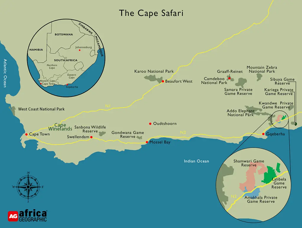 Cape safari