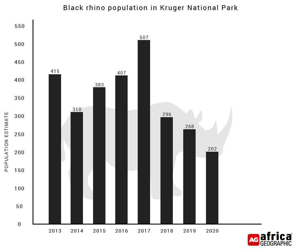 Kruger rhino poaching update: 75% population reduction in 10 years