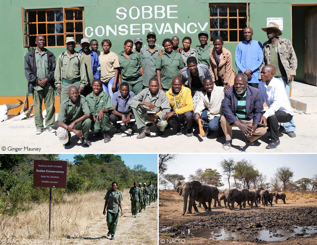 Wildlife corridors