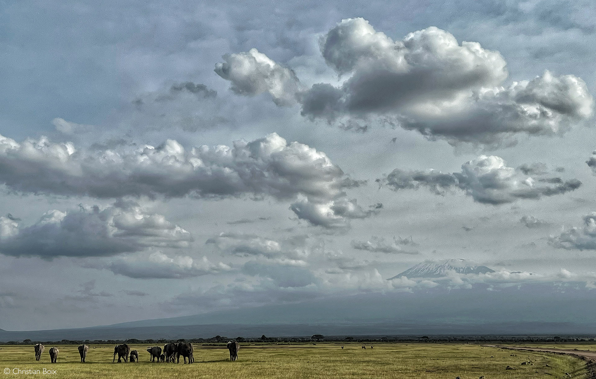 African safari