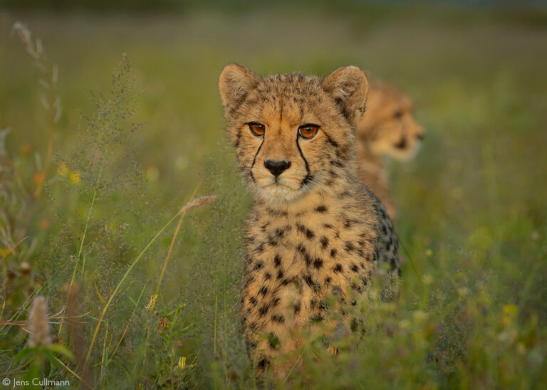 Photographer of the Year 2022 Weekly Selection: Week 2 - Africa Geographic