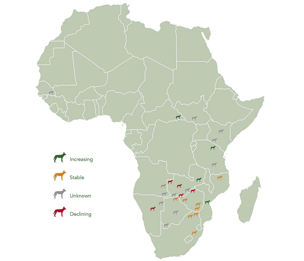 african wild dog habitat maps