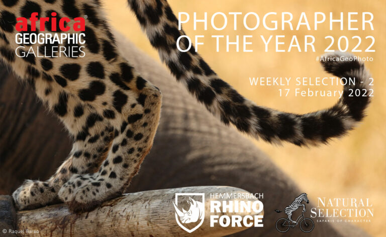 Photographer of the Year 2022 Weekly Selection: Week 2 - Africa Geographic