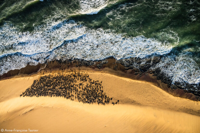 Photographer of the Year 2022 Weekly Selection: Week 5 - Africa Geographic