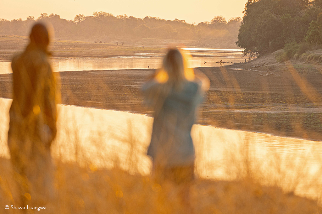 African safari sundowners