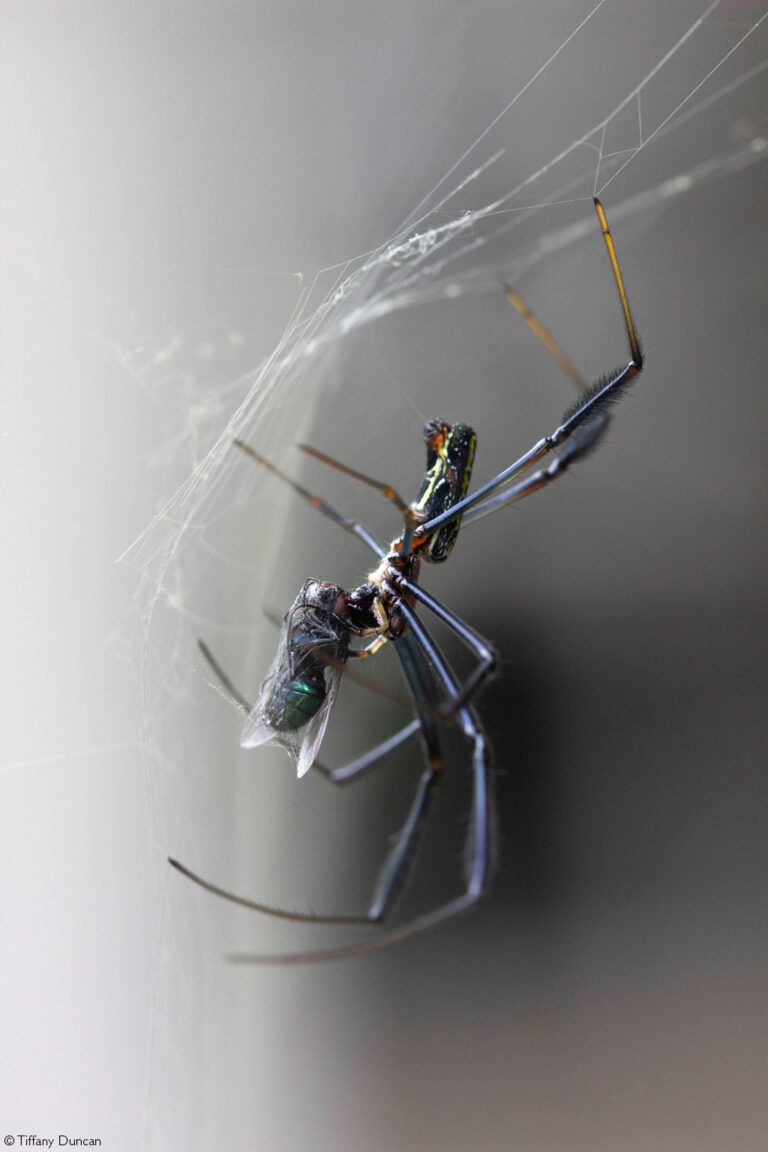 Photographer of the Year 2022 Weekly Selection Week 5 Africa Geographic