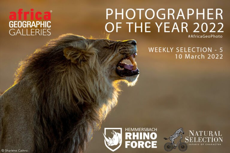 Photographer of the Year 2022 Weekly Selection: Week 5 - Africa Geographic