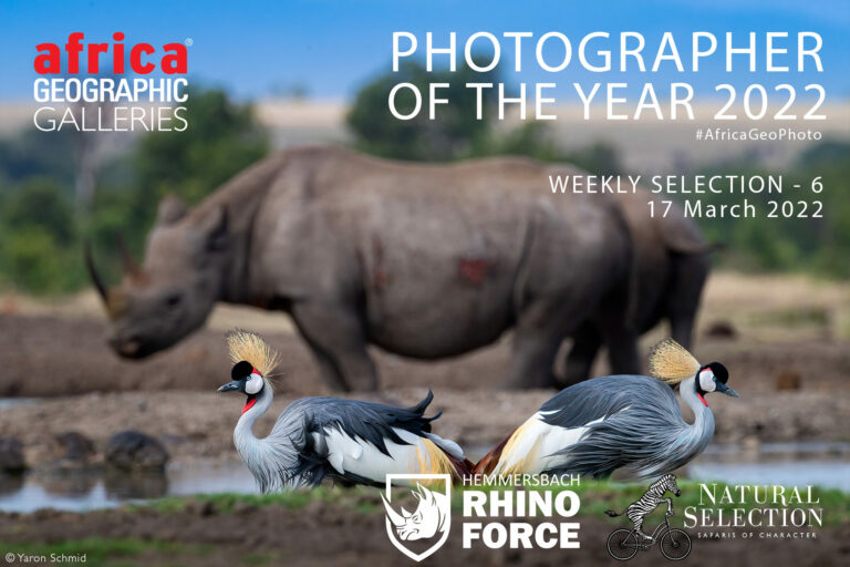 Photographer of the Year 2022 Weekly Selection: Week 6 - Africa Geographic