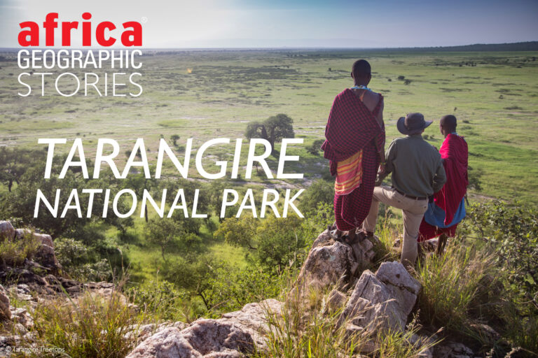 Tarangire National Park - Africa Geographic