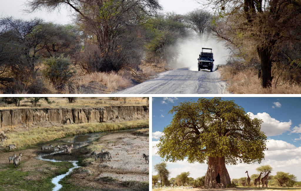 Tarangire National Park