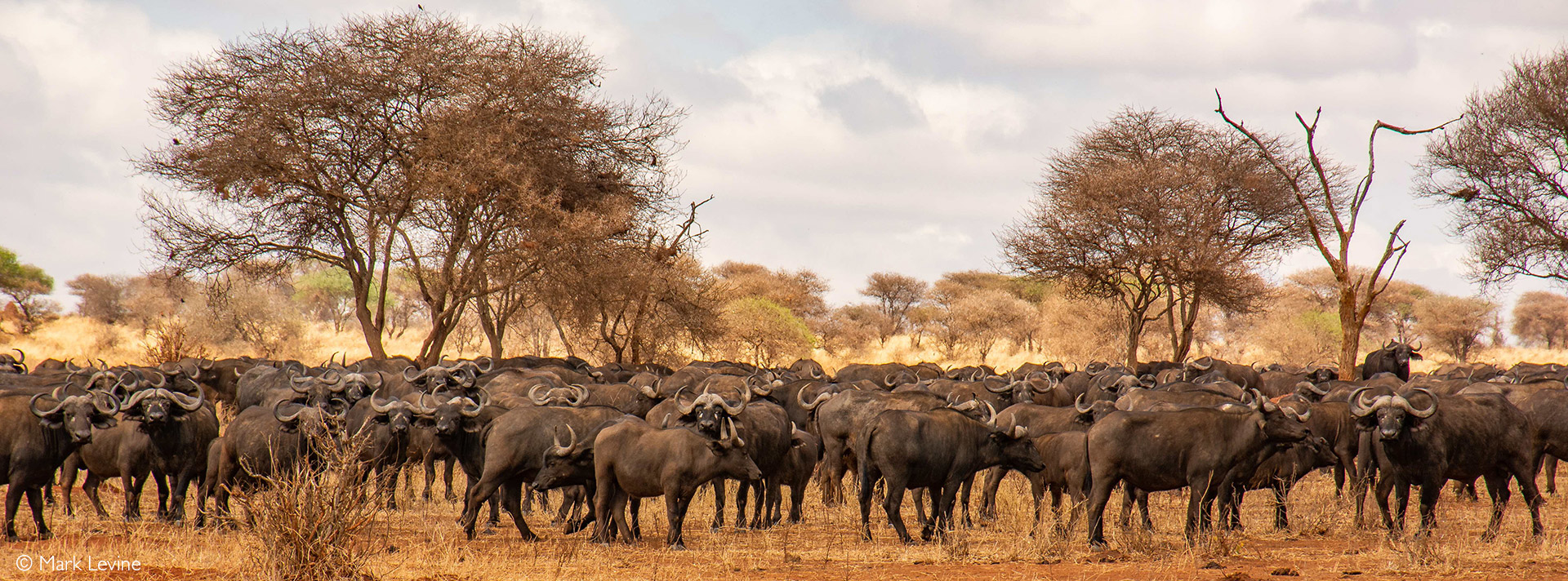 Tarangire National Park