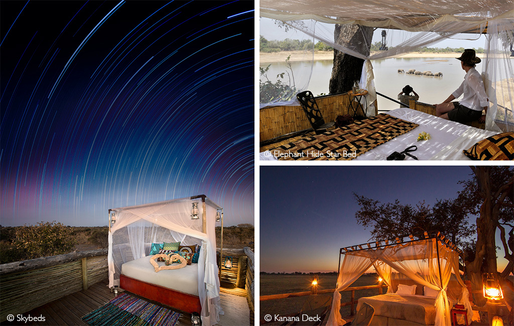 Sleep out under the stars - stargazing from the comfort of your bed
