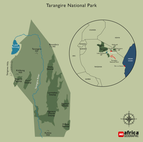 Tarangire National Park - Africa Geographic