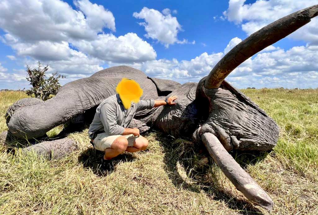 Trophy hunters kill two of Africa's biggest elephants in Botswana